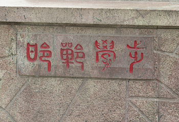 学步桥第 11 张图片