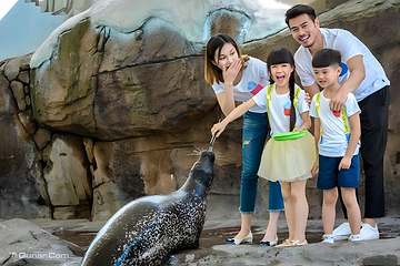 海合安成都极地海洋公园第 118 张图片