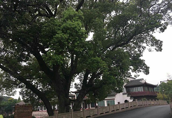 皋亭山第 32 张图片