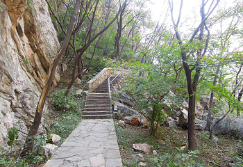 峻极峰第 8 张图片