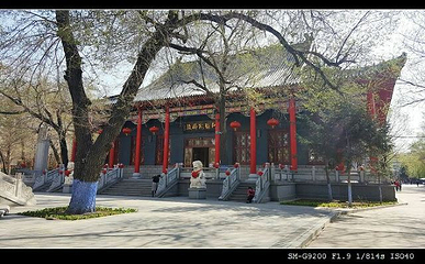哈尔滨极乐寺第 17 张图片