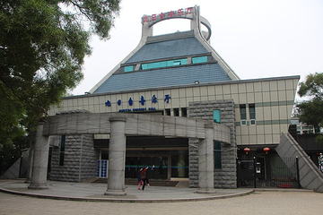 定光塔寺第 21 张图片