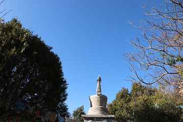 泸沽三岛第 7 张图片