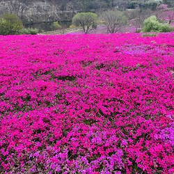 昆嵛山石门里景区