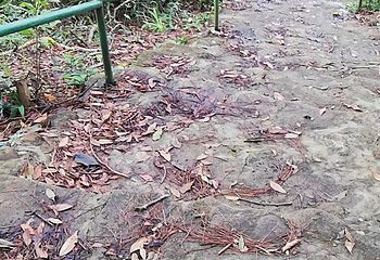 石根山第 32 张图片