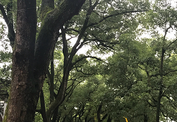 湖南大学第 27 张图片