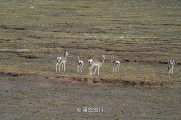 40号冰川第 14 张图片