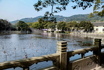 普陀山风景区第 14 张图片