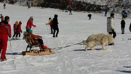 九龙国际滑雪场第 86 张图片