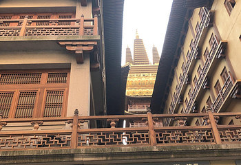 静安寺第 19 张图片