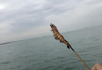 小石岛第 22 张图片