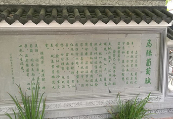 马陆葡萄主题公园第 20 张图片