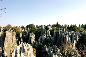 石林风景区第 24 张图片