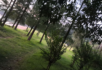 东莞市同沙水库第 4 张图片