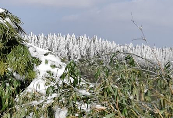 仙女山滑雪场第 28 张图片
