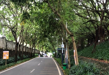 光明农场大观园第 58 张图片
