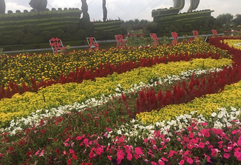 银川花博园第 66 张图片