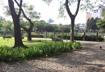 台湾大学第 13 张图片