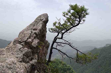 乾元山第 4 张图片