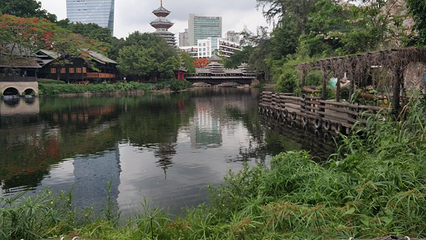 深圳华侨城旅游度假区第 45 张图片