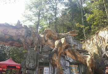 黄桑自然保护区第 12 张图片