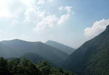安吉龙王山风景区第 30 张图片