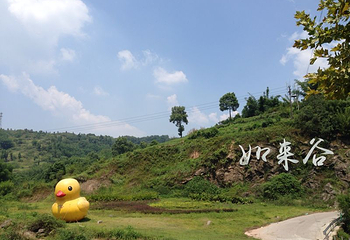 如莱谷漂流第 29 张图片