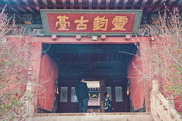 海藏寺第 7 张图片