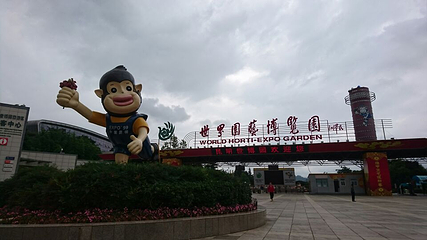 金博索道第 7 张图片