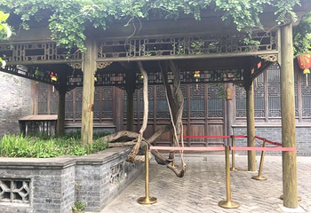 卢氏盐商住宅第 24 张图片