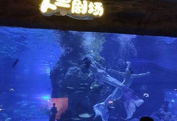 荆州海洋世界·海底乐园第 17 张图片
