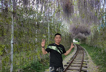 萍乡仙凤三宝景区第 54 张图片