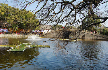 普陀山风景区第 34 张图片