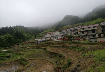 岳西金榜乡村第 30 张图片