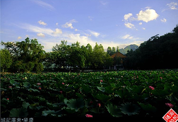 封开国家地质公园第 17 张图片