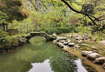 酉阳桃花源景区第 56 张图片