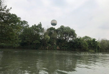 西溪湿地高庄第 21 张图片