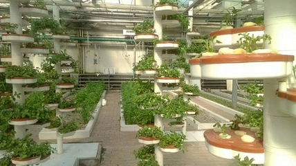 北大荒唐都生态园第 27 张图片