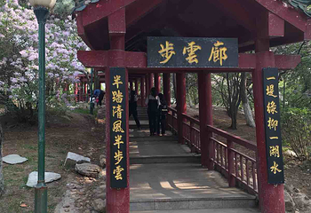 南湖公园第 11 张图片
