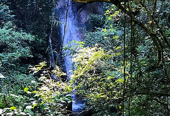 新丰江国家森林公园桂山风景区第 63 张图片