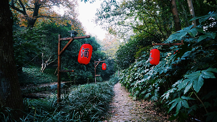 龙井山园茶文化村第 8 张图片