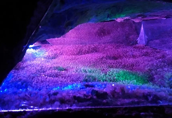 石花水洞第 85 张图片