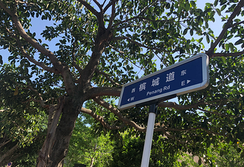 香山国际游艇码头第 28 张图片