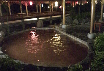 温泉浴庄第 6 张图片