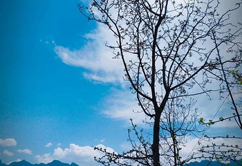 太白山第 19 张图片