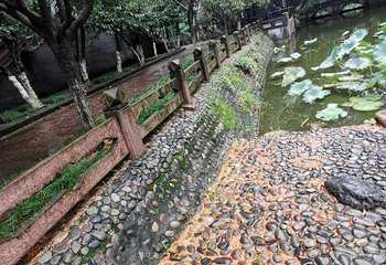 宝光桂湖文化旅游区第 5 张图片