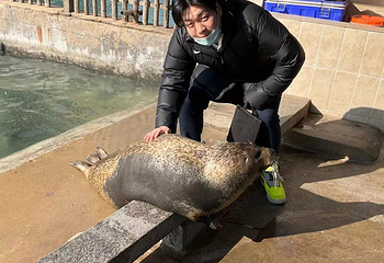 八仙过海景区第 53 张图片