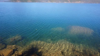 大落水村第 25 张图片