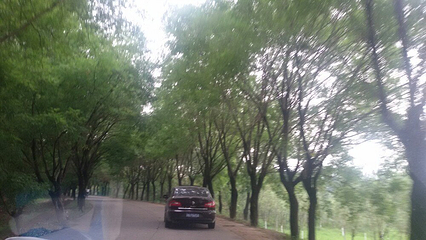 沾化古城文化旅游景区第 5 张图片