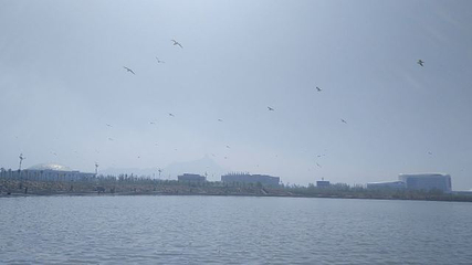乌海湖休闲度假旅游区第 68 张图片